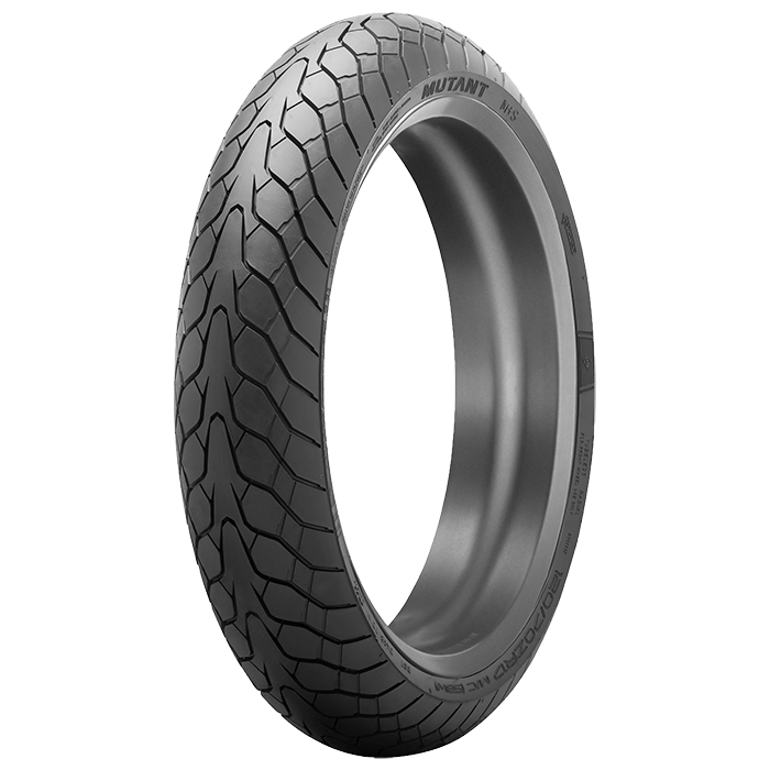 Best Tires for My Sport Touring Bike Mutant