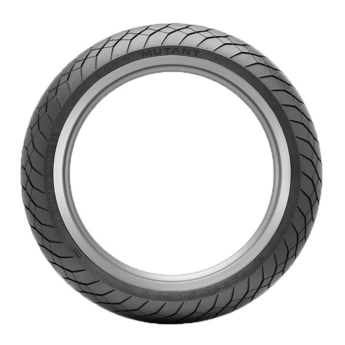 Best Tires for My Sport Touring Bike Mutant